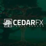 cedarfx opiniones y review en mexico
