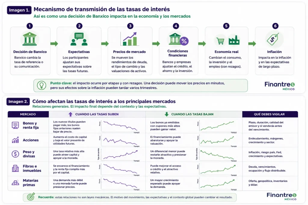 Mecanismos y efectos de las tasas