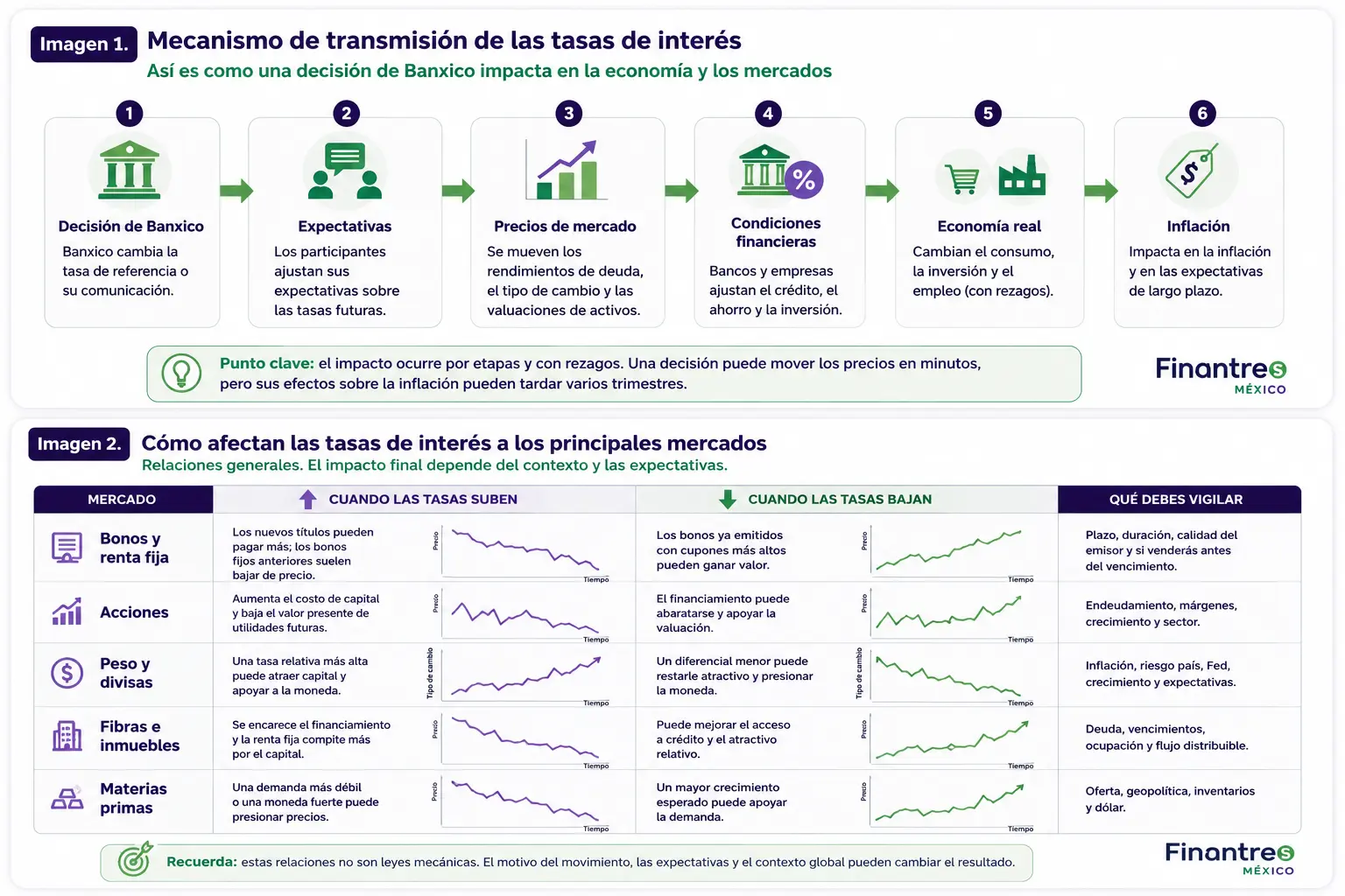 Mecanismos y efectos de las tasas