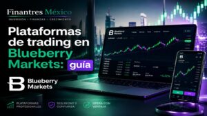 Plataformas de trading en Blueberry Markets