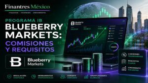 Programa IB Blueberry Markets requisitos