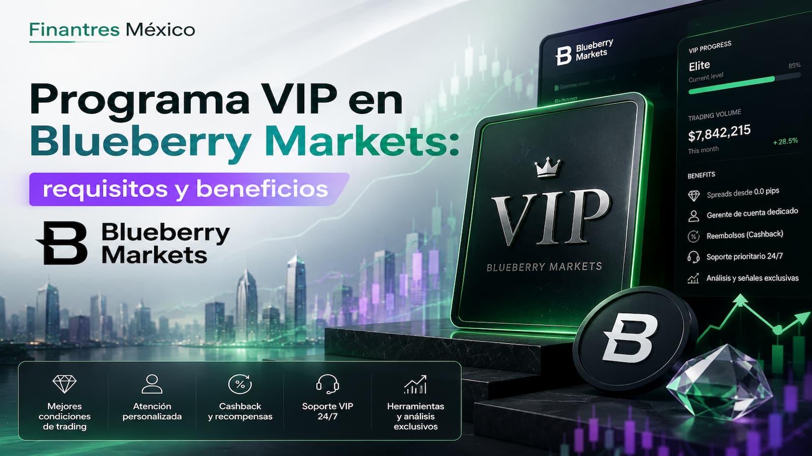 Programa VIP en Blueberry Markets requisitos