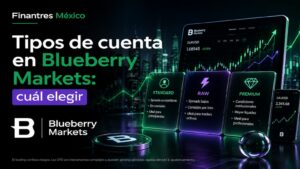 Tipos de cuenta en Blueberry Markets