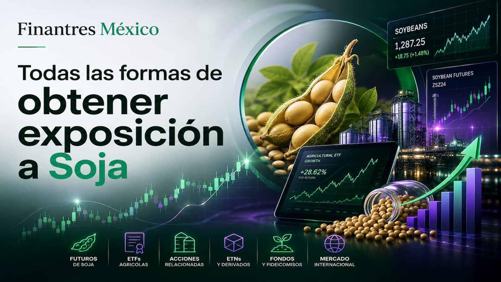 Todas las formas de obtener exposición a Soja